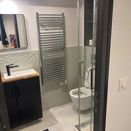 Appartamento Loft Entier Nancy Centre Et Parking Esterno foto